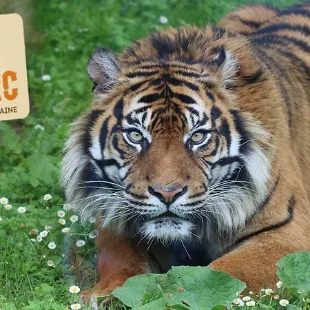 Holiday home L'ancienne Cave *