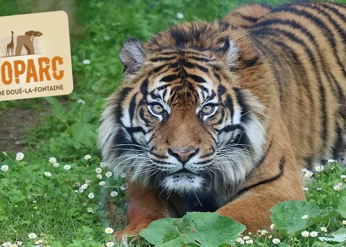 Ferienhaus L'ancienne Cave *